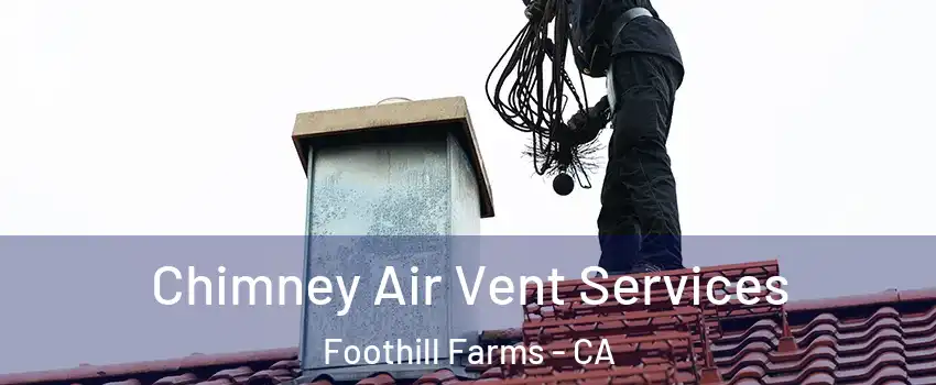  Chimney Air Vent Services Foothill Farms - CA