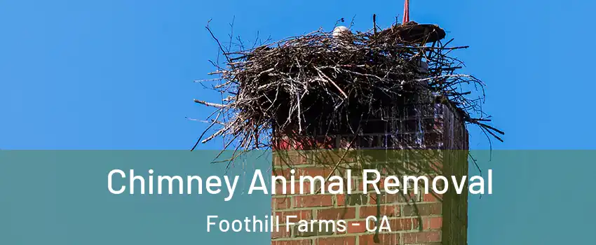 Chimney Animal Removal Foothill Farms - CA