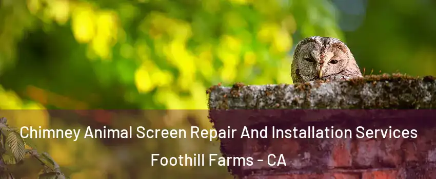  Chimney Animal Screen Repair And Installation Services Foothill Farms - CA