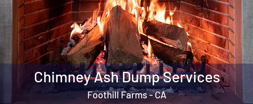  Chimney Ash Dump Services Foothill Farms - CA