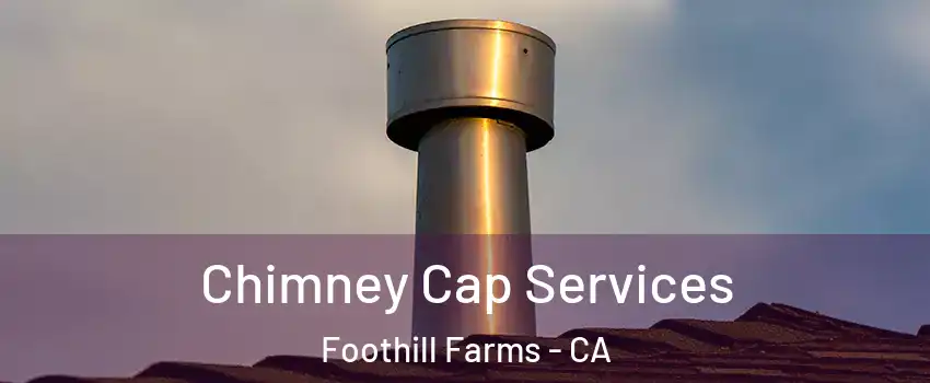 Chimney Cap Services Foothill Farms - CA