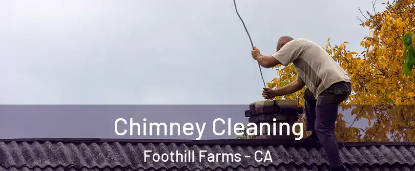  Chimney Cleaning Foothill Farms - CA