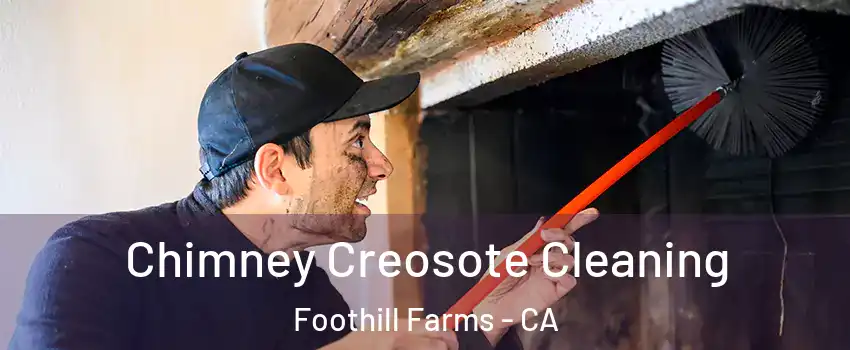  Chimney Creosote Cleaning Foothill Farms - CA