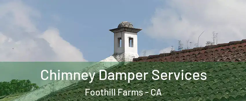  Chimney Damper Services Foothill Farms - CA