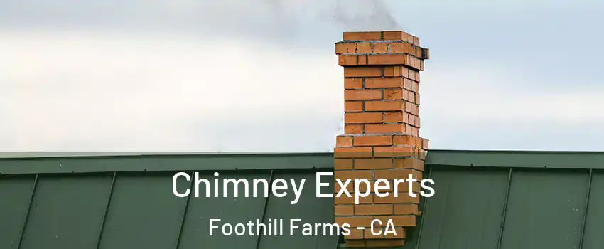 Chimney Experts Foothill Farms - CA