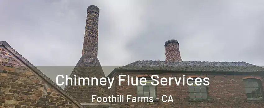  Chimney Flue Services Foothill Farms - CA