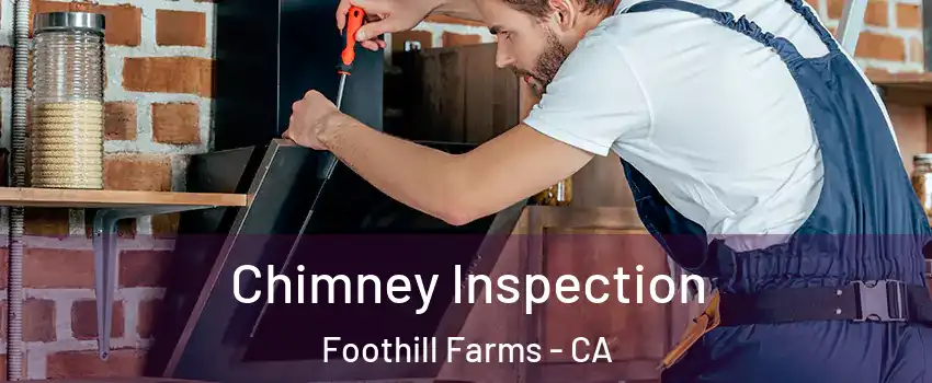  Chimney Inspection Foothill Farms - CA