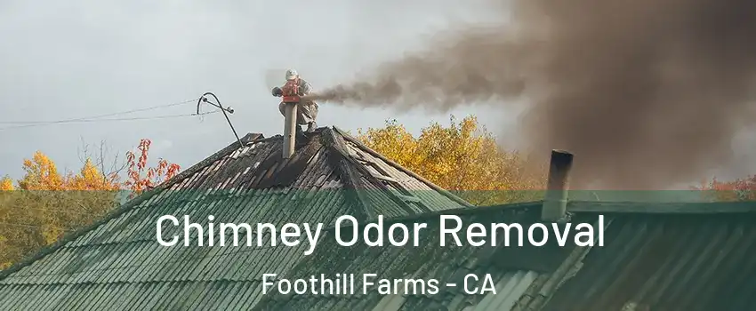  Chimney Odor Removal Foothill Farms - CA