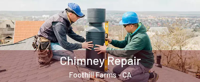  Chimney Repair Foothill Farms - CA