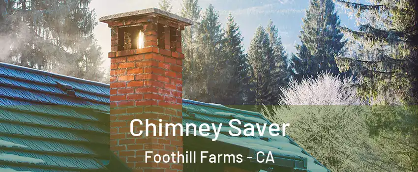 Chimney Saver Foothill Farms - CA