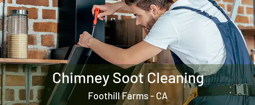  Chimney Soot Cleaning Foothill Farms - CA