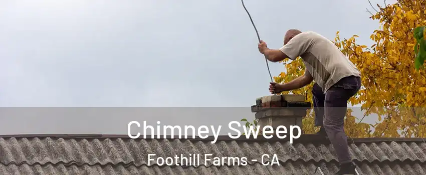  Chimney Sweep Foothill Farms - CA