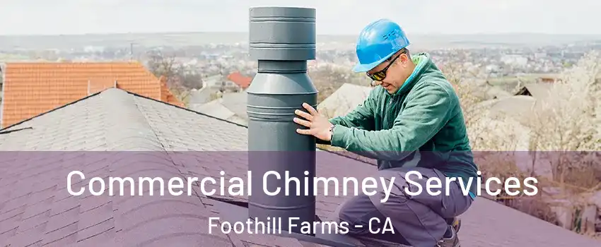  Commercial Chimney Services Foothill Farms - CA
