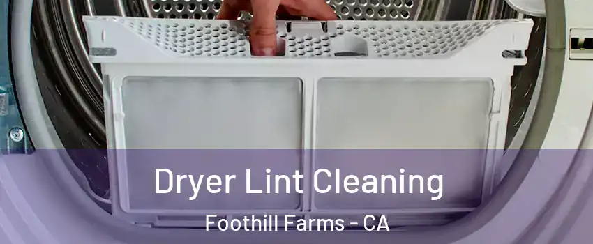  Dryer Lint Cleaning Foothill Farms - CA
