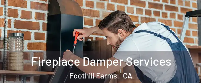  Fireplace Damper Services Foothill Farms - CA