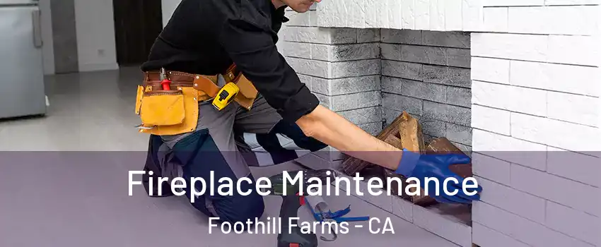  Fireplace Maintenance Foothill Farms - CA
