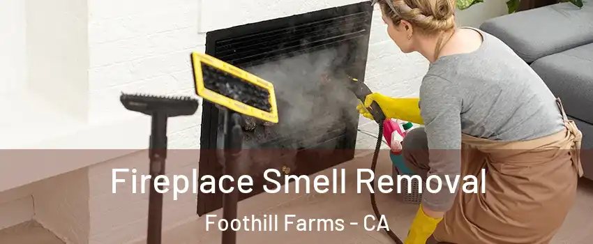  Fireplace Smell Removal Foothill Farms - CA
