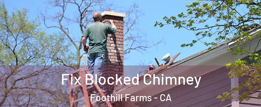  Fix Blocked Chimney Foothill Farms - CA