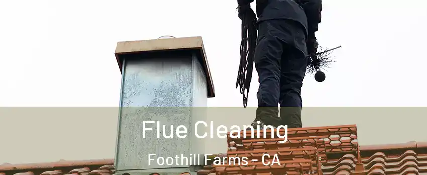  Flue Cleaning Foothill Farms - CA