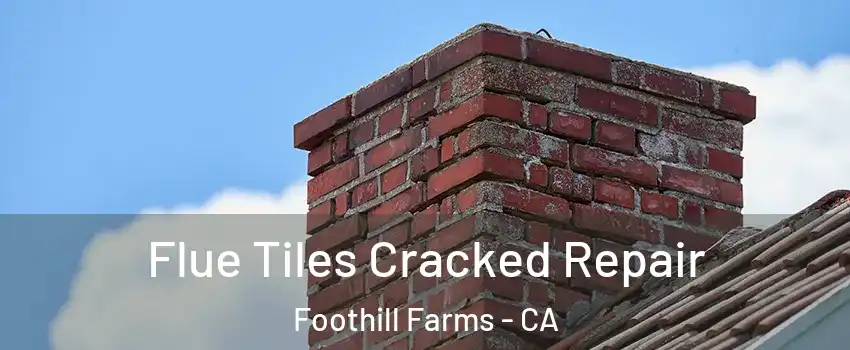  Flue Tiles Cracked Repair Foothill Farms - CA