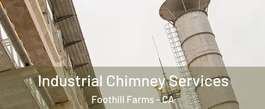  Industrial Chimney Services Foothill Farms - CA