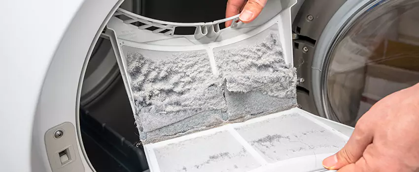 Best Dryer Lint Removal Company in Foothill Farms, California