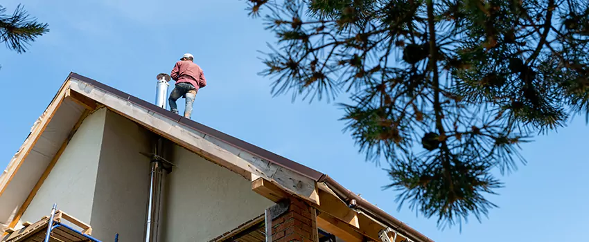 Birds Removal Contractors from Chimney in Foothill Farms, CA