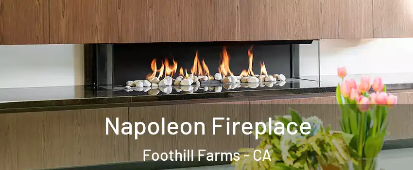  Napoleon Fireplace Foothill Farms - CA