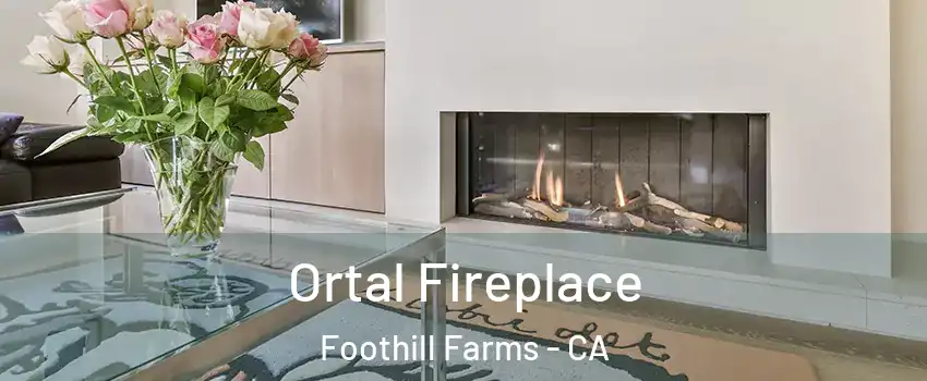 Ortal Fireplace Foothill Farms - CA
